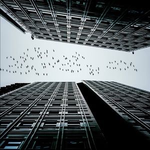 Meet your Posher, Benito